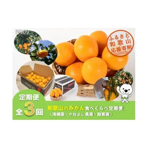 N909 【全3回定期便】和歌山のみかん食べ比べ（滝橘園・かねよし農園・勘繁園）