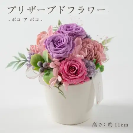 プリザーブドフラワーアレンジ 【ポコ ア ポコ(ライラック)】【1748032】