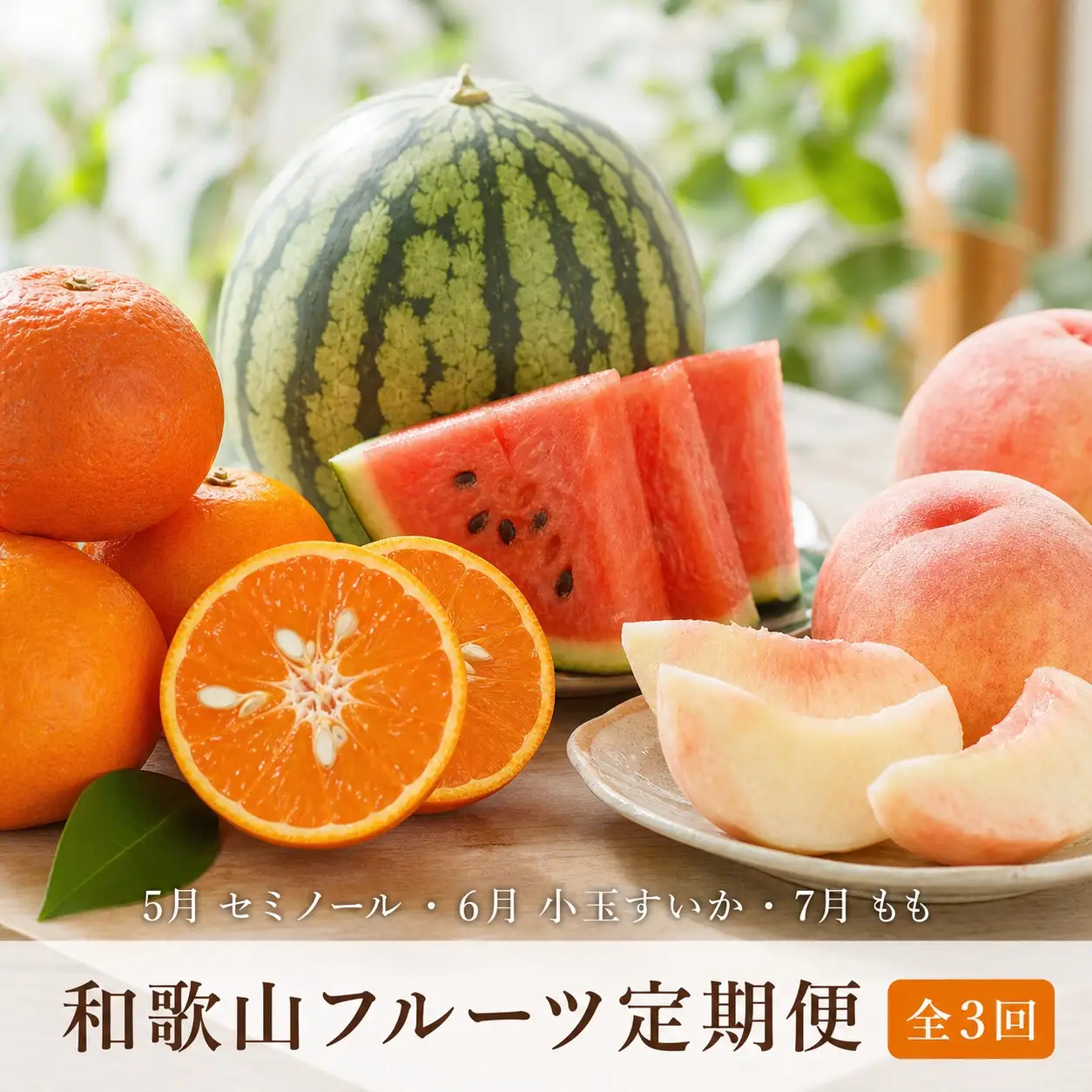 【全3回】紀州和歌山産旬のフルーツ定期便（セミノール・スイカ・桃）【5月・6月・7月】【tkb453】