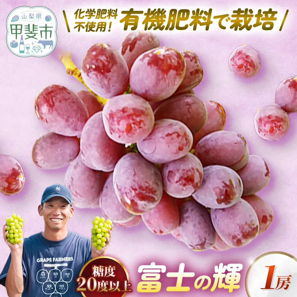 山梨県甲斐市産ぶどう 富士の輝 1房（500g以上） 山梨県産ぶどう