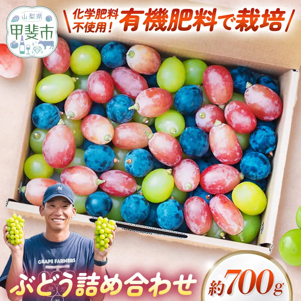 旬の彩り 粒ぶどう 詰め合わせ（約700g） 山梨県産ぶどう ぶどう