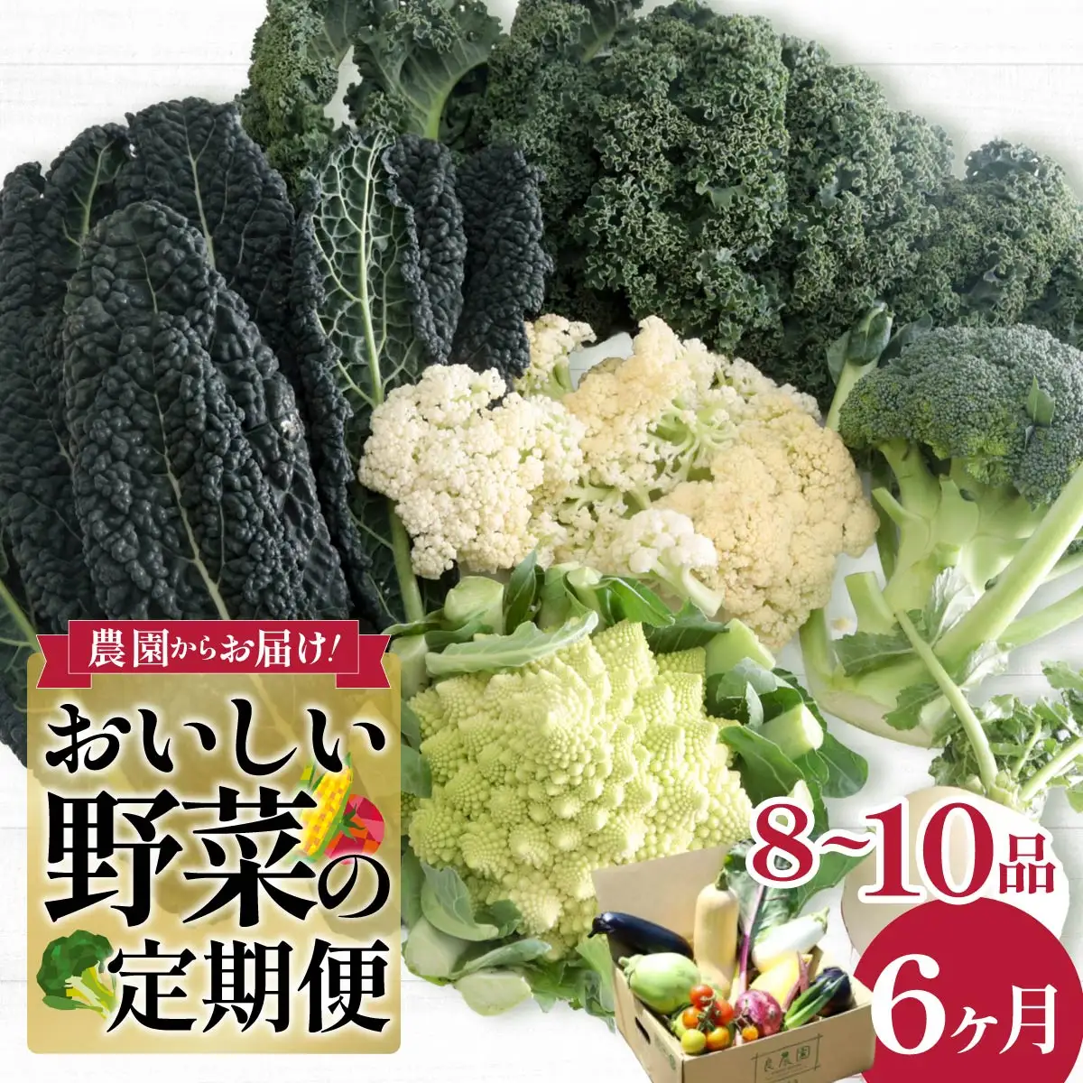 西洋野菜 一般野菜 旬野菜セット 8～10品 定期便 6ヶ月 | やさい