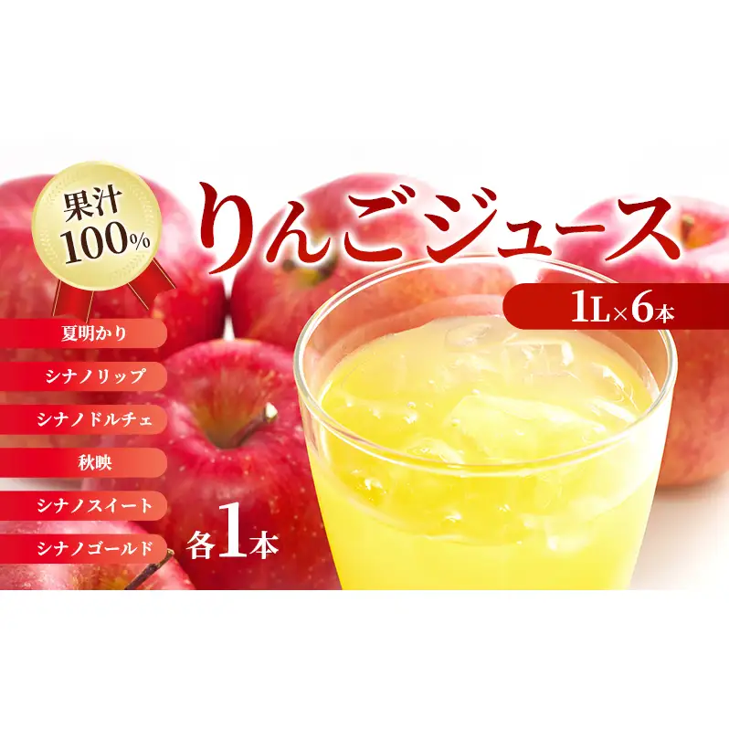  果汁100％ジュースで味わう信州のリンゴ　信州生れ　大瓶6本 リンゴ ジュース 果物 フルーツ お取り寄せ 長野県産 箕輪町