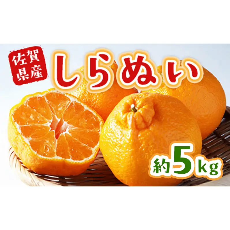 不知火 しらぬい 約5kg 柑橘 みかん ジュース ゼリー シャーベット 果物 フルーツ デザート ※配送不可:離島