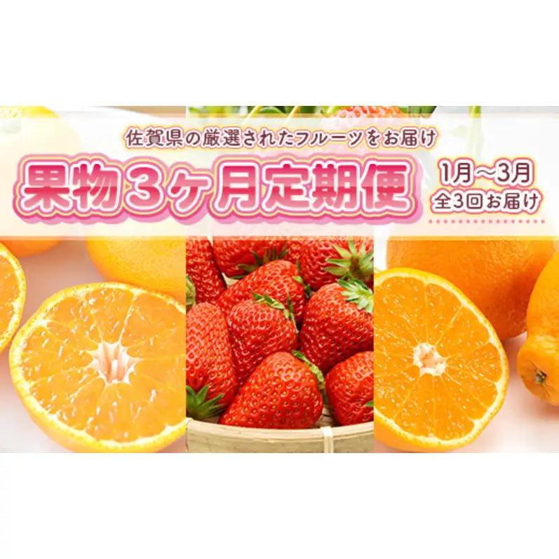 フルーツ 旬の果物 定期便 フルーツ【定期便 3ヶ月】