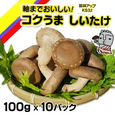 軸までおいしい！コクうま　生しいたけ（100ｇ×10パック）