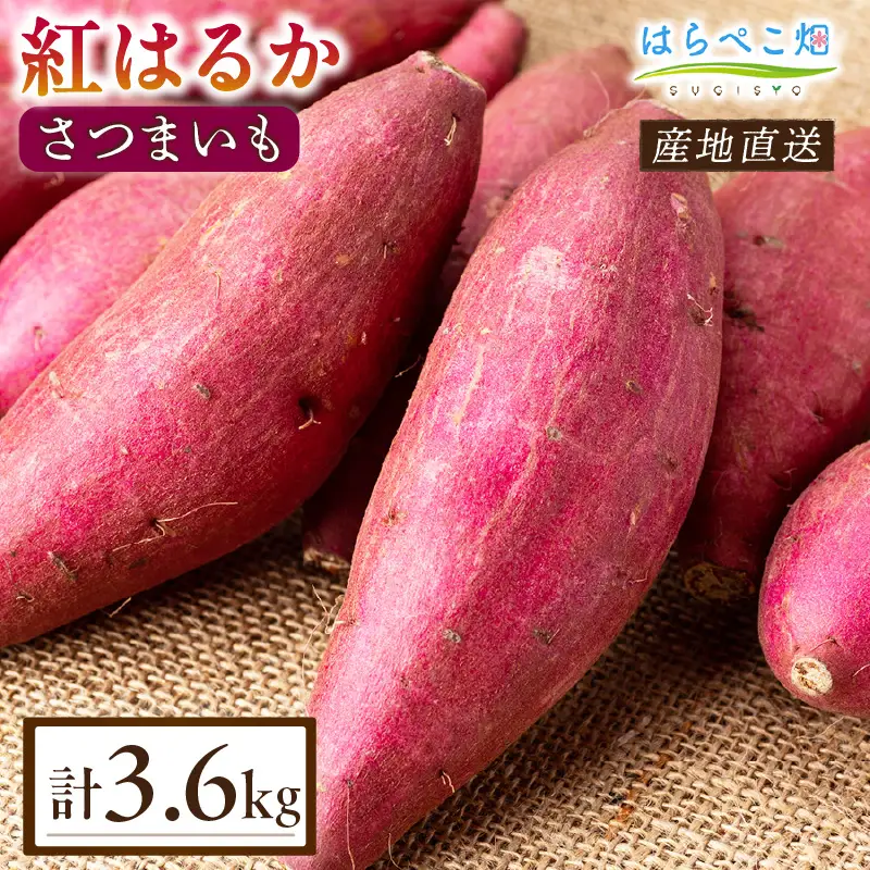 【ねっとり甘い蜜芋】さつまいも 紅はるか（1.8kg×2箱）合計3.6kg・H100