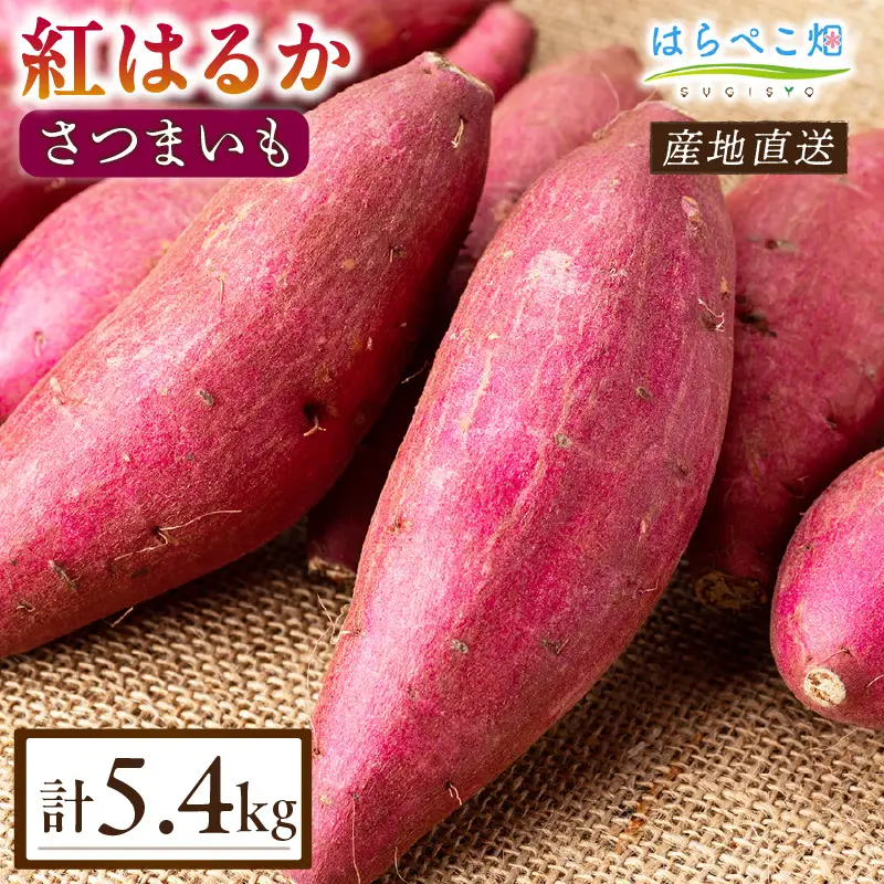 【ねっとり甘い蜜芋】さつまいも 紅はるか（1.8kg×3箱）合計5.4kg・H101