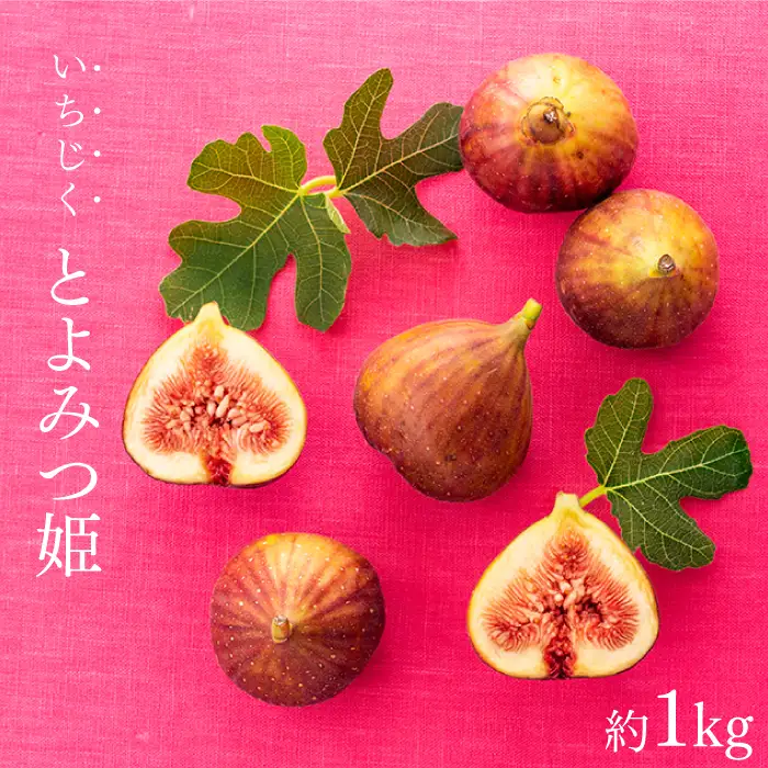 A1361.九州・福岡フルーツ王国より直送.いちじく（とよみつ姫）約1kg／2026年8月～9月配送【とよみつひめ】