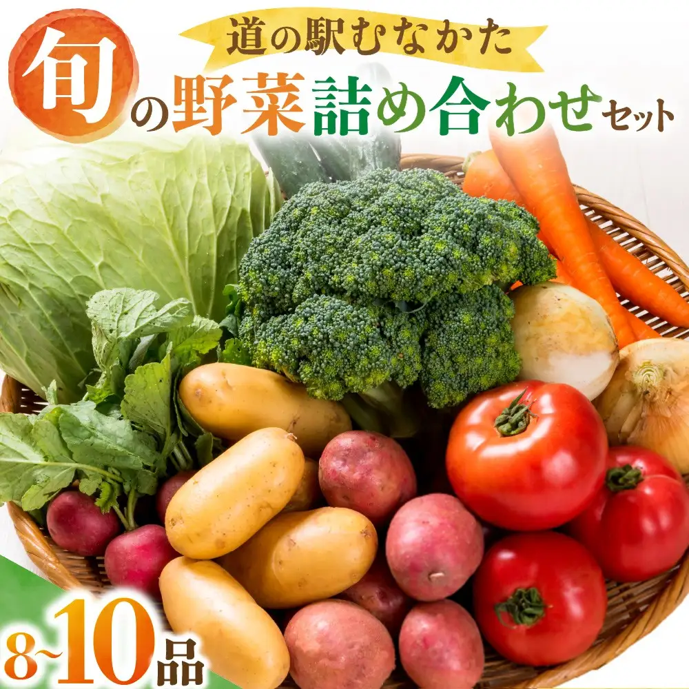旬のお野菜詰合せセット【道の駅むなかた】_HA2050 野菜 新鮮 旬 サラダ 福岡県宗像市 宗像市 福岡 宗像