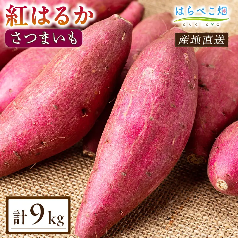 【ねっとり甘い蜜芋】さつまいも 紅はるか（4.5kg×2箱）合計9kg・H103