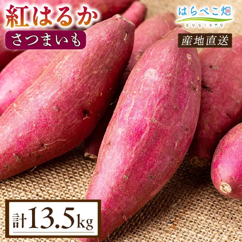 【ねっとり甘い蜜芋】さつまいも 紅はるか（4.5kg×3箱）合計13.5kg・H104