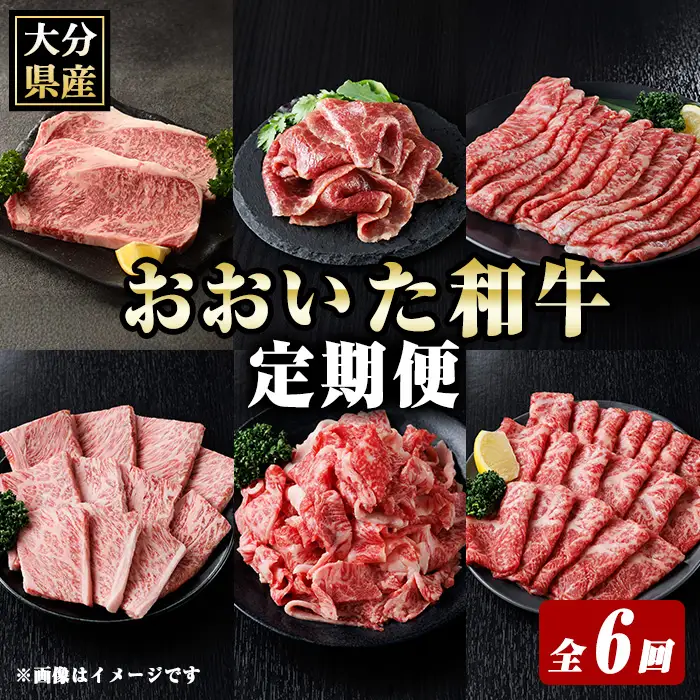 おおいた和牛 定期便 (全6回) 牛肉 肉 冷凍 国産 和牛 小分け ブランド牛 切り落とし 【optk005】【大分県畜産公社】
