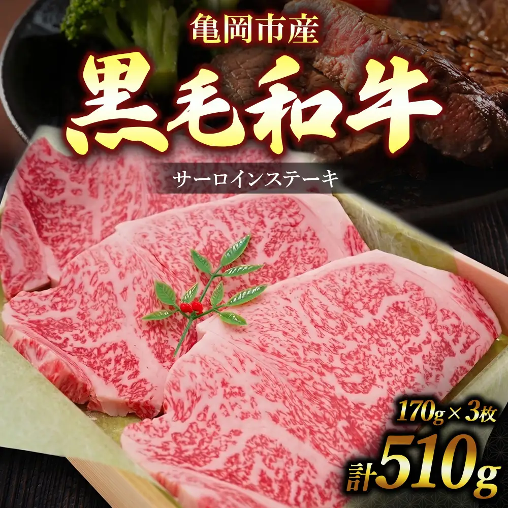 亀岡市産 黒毛和牛 サーロインステーキ 170g×3枚 牛肉 ステーキ 肉 サーロイン 冷凍 ギフト 贈答 お歳暮 お中元 人気