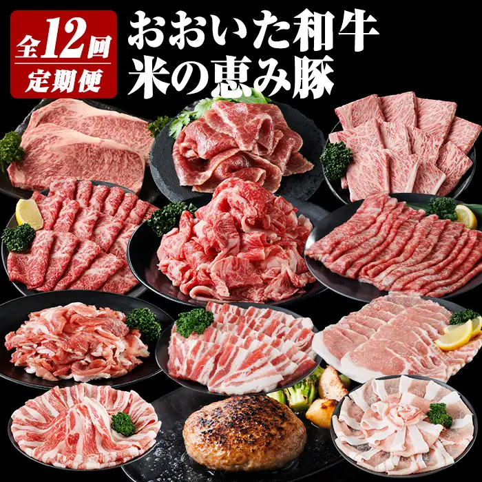 おおいた和牛 米の恵み豚 定期便 (全12回) 牛肉 肉 冷凍 国産 和牛 小分け ブランド牛 豚肉 ハンバーグ しゃぶしゃぶ ステーキ 切り落とし 【optk006】【大分県畜産公社】