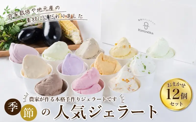  ジェラート セット 12個 4月発送 21000円 / キミノ―カ アイス クリーム スイーツ 野菜 果物【kmk105-apr-12】
