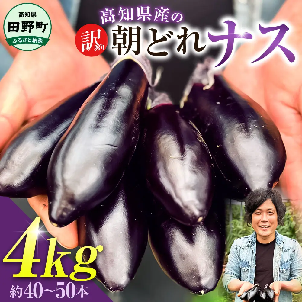先行予約 訳あり高知県産の朝どれナス 4kg