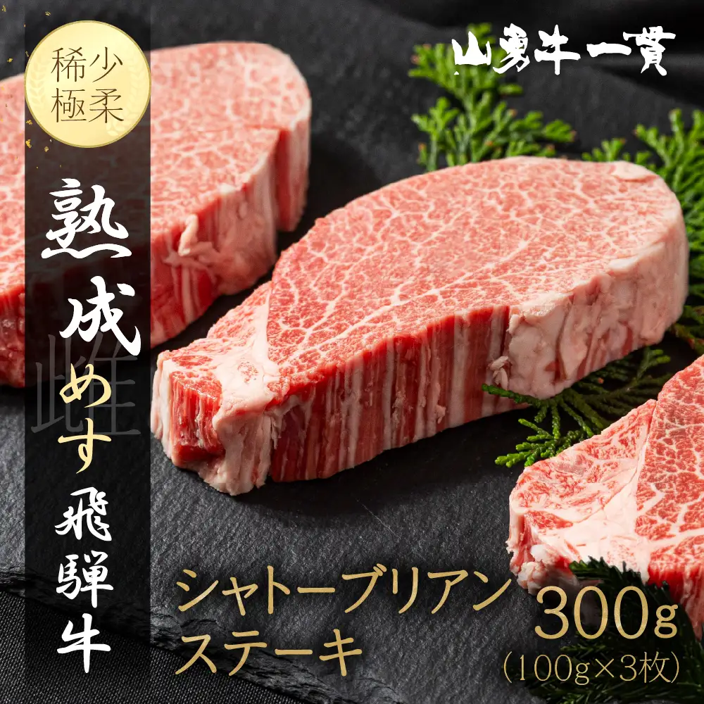 【山勇牛】シャトーブリアン ステーキ 100g×3 ステーキ