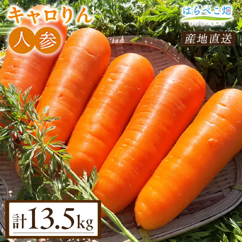 人参『キャロりん』（4.5kg×3箱）合計13.5kg・H110