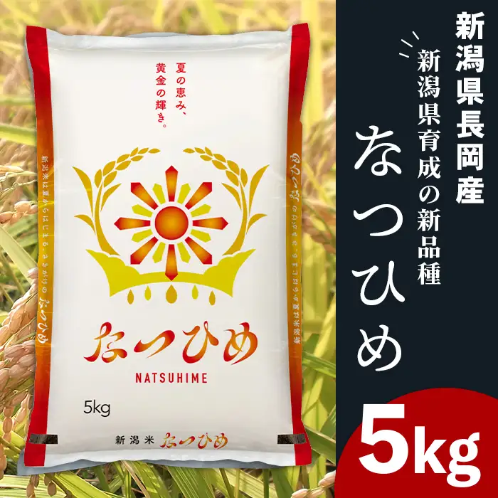 48-8H051新潟県長岡産なつひめ5kg