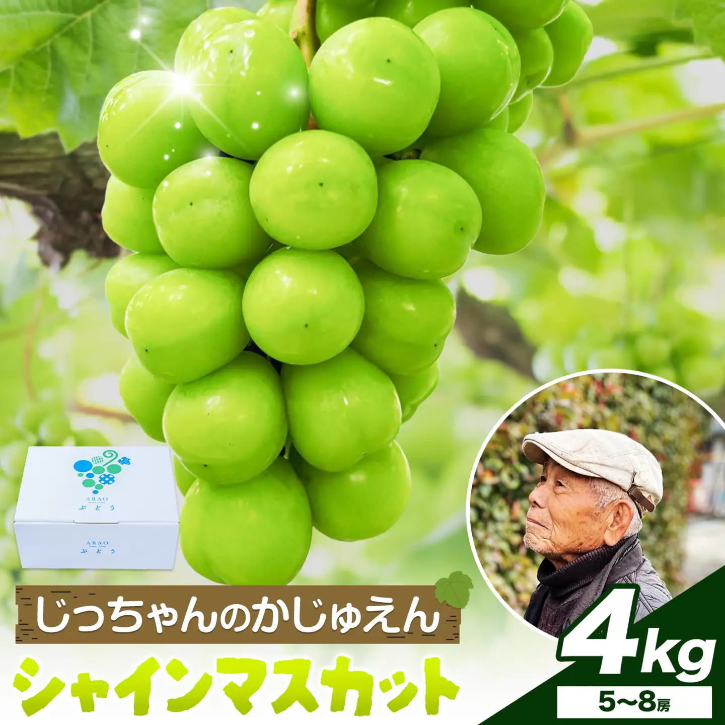 シャインマスカット 4kg じっちゃんのかじゅえん《8月上旬-9月下旬頃出荷》