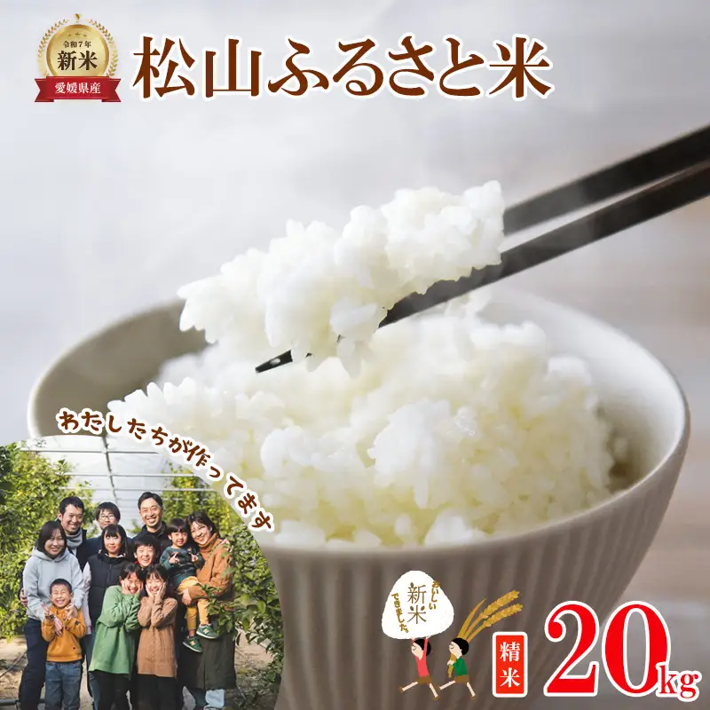 米 精米 松山ふるさと米 令和8年産 20kg 【OCF0081_x】