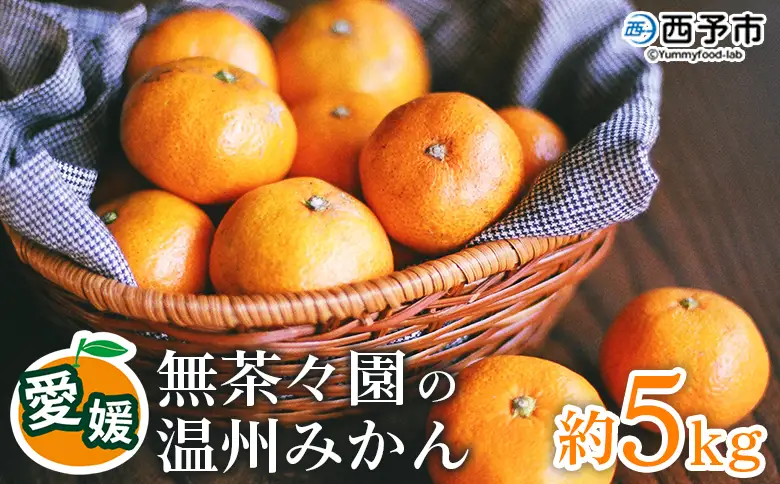 【先行予約】＜無茶々園 温州みかん 約5kg＞ 果物 くだもの ミカン 蜜柑 柑橘 フルーツ うんしゅうみかん 贈り物 ギフト おいしい 期間限定 季節限定 食べて応援 特産品 愛媛県 西予市 【常温】『2026年11月～12月に順次出荷予定』AMC0059