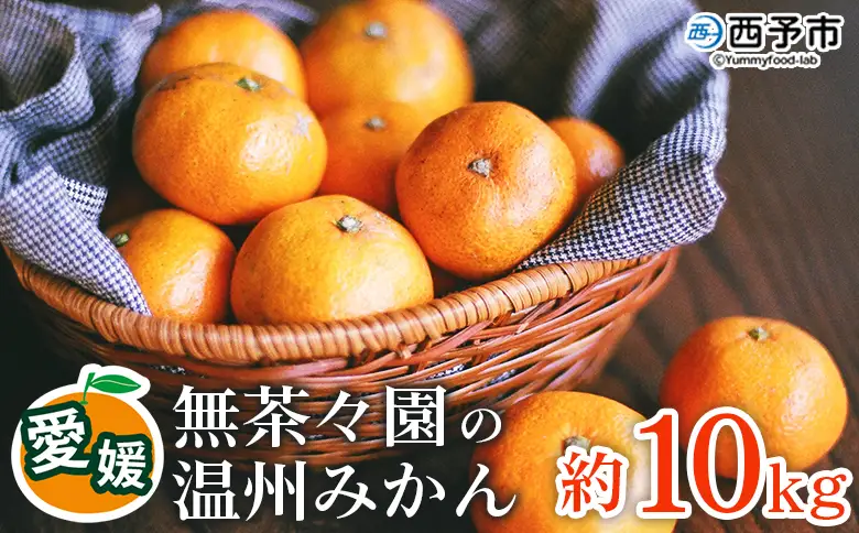 【先行予約】＜無茶々園 温州みかん 約10kg＞ 果物 くだもの ミカン 蜜柑 柑橘 フルーツ うんしゅうみかん 選べる内容量 贈り物 ギフト おいしい 期間限定 季節限定 食べて応援 特産品 愛媛県 西予市 【常温】『2026年11月～12月に順次出荷予定』AMC0058