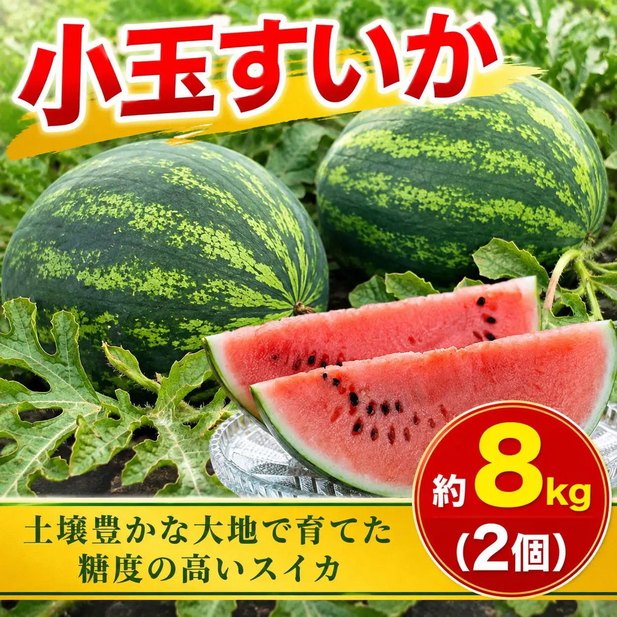 小玉 すいか 2個 約8kg 高糖度 スイカ 西瓜 