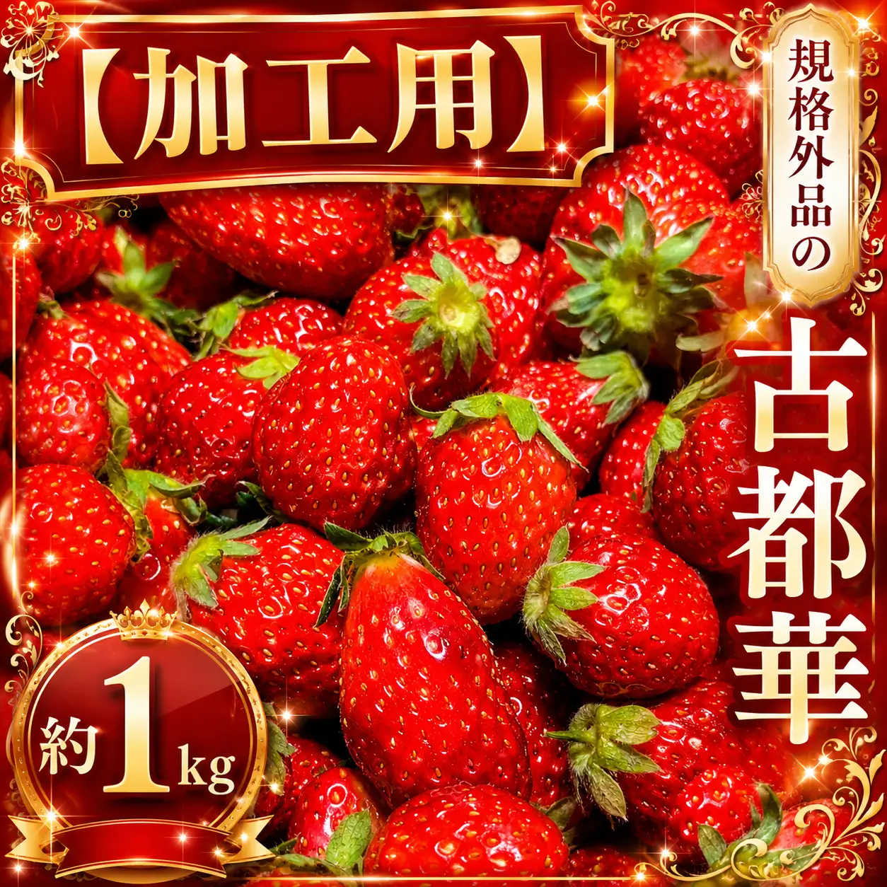 【 加工用 】規格外品 の 古都華 約 1kg | 先行予約 果物 くだもの フルーツ 苺 イチゴ いちご ストロベリー 古都華 ことか 旬の品種 加工用 規格外品 ジャム コンポート 奈良県 平群町