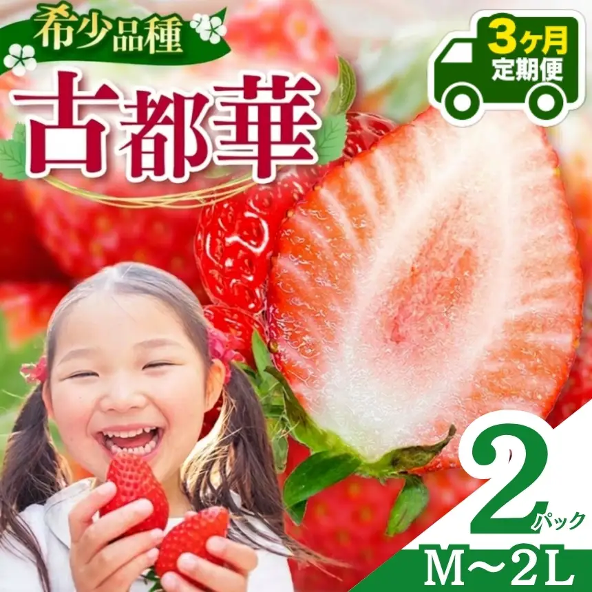 【定期便3回】いちご 平群の古都華 M～2Lサイズ お任せ（2パック×1ケース）計2パック | 先行予約 フルーツ 果物 くだもの ブランド いちご 苺 古都華 ことか 甘い 大人気 満足 希少 希少品種 ストロベリー 美味しい 品種 特徴 糖度 ルビー色 1月 2月 3月 発送 旬 送料無料 濃厚 香り 果汁 味わい深い お取り寄せ 産地直送 名産地 奈良県 平群 町 OKADAファーム