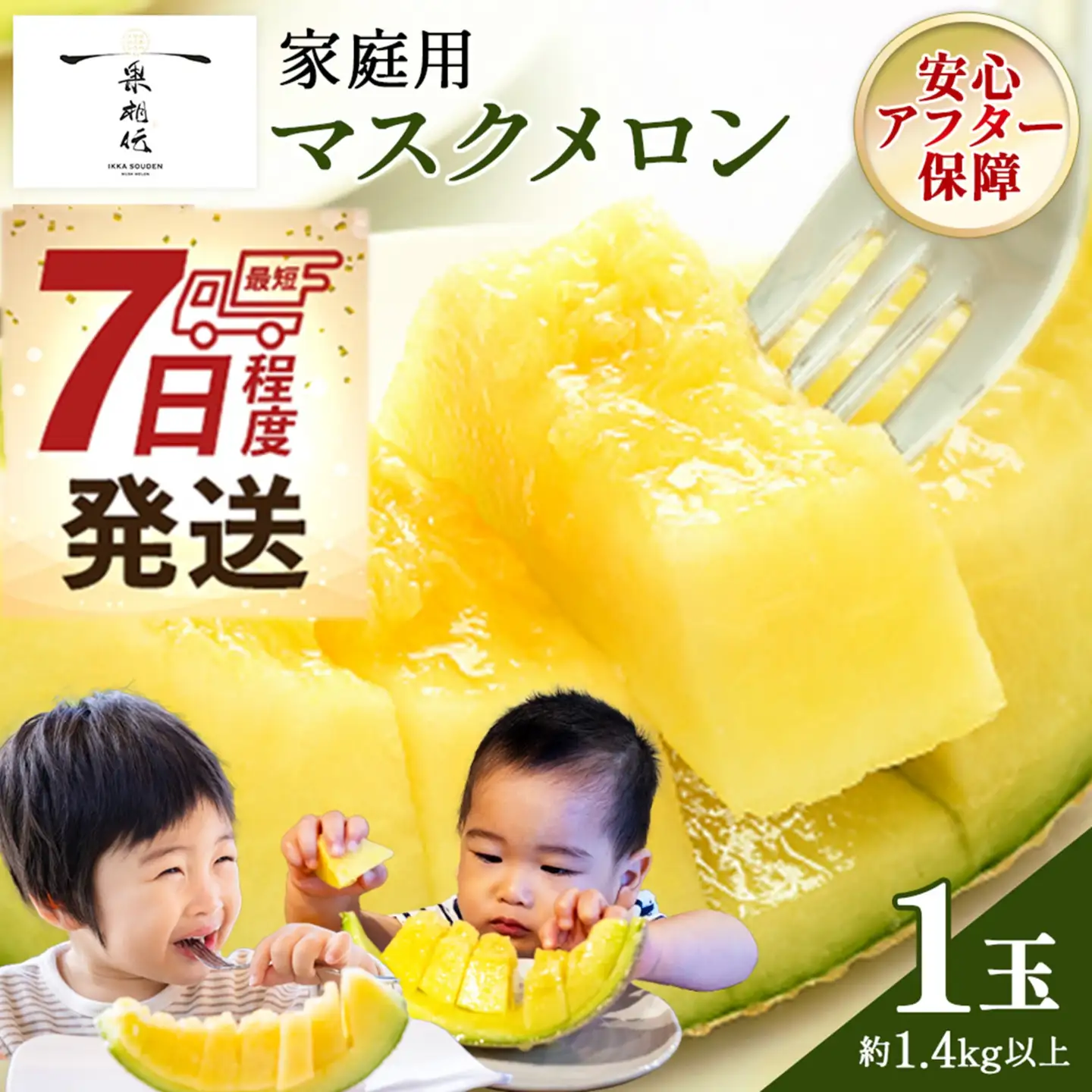 【10月発送】マスクメロン(家庭用) 1玉入 青肉品種 高級メロン！ ／ マスクメロン 果物 フルーツ ギフト 農家直送 tn-0062