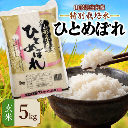 令和7年産】 特別栽培米 ひとめぼれ 玄米 5kg (5kg×1袋) 山形県 庄内産