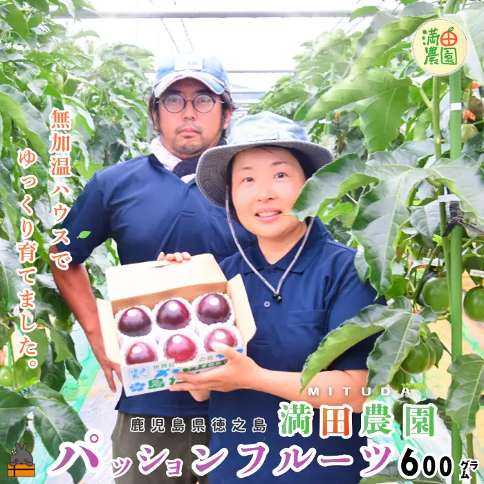 《今が旬！》 満田(みつだ)農園さんのパッションフルーツ（約600g）( 果物 フルーツ 酸味 甘み プチプチ 徳之島 奄美 鹿児島 美味しい 旬 南の島 世界自然遺産 みつだ農園 )