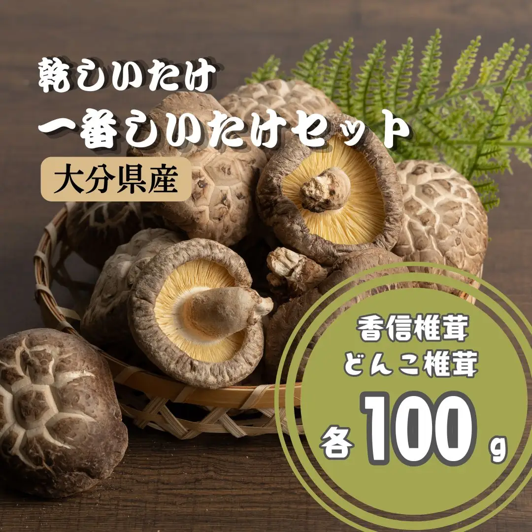 乾椎茸 一番椎茸セット | 津久見市