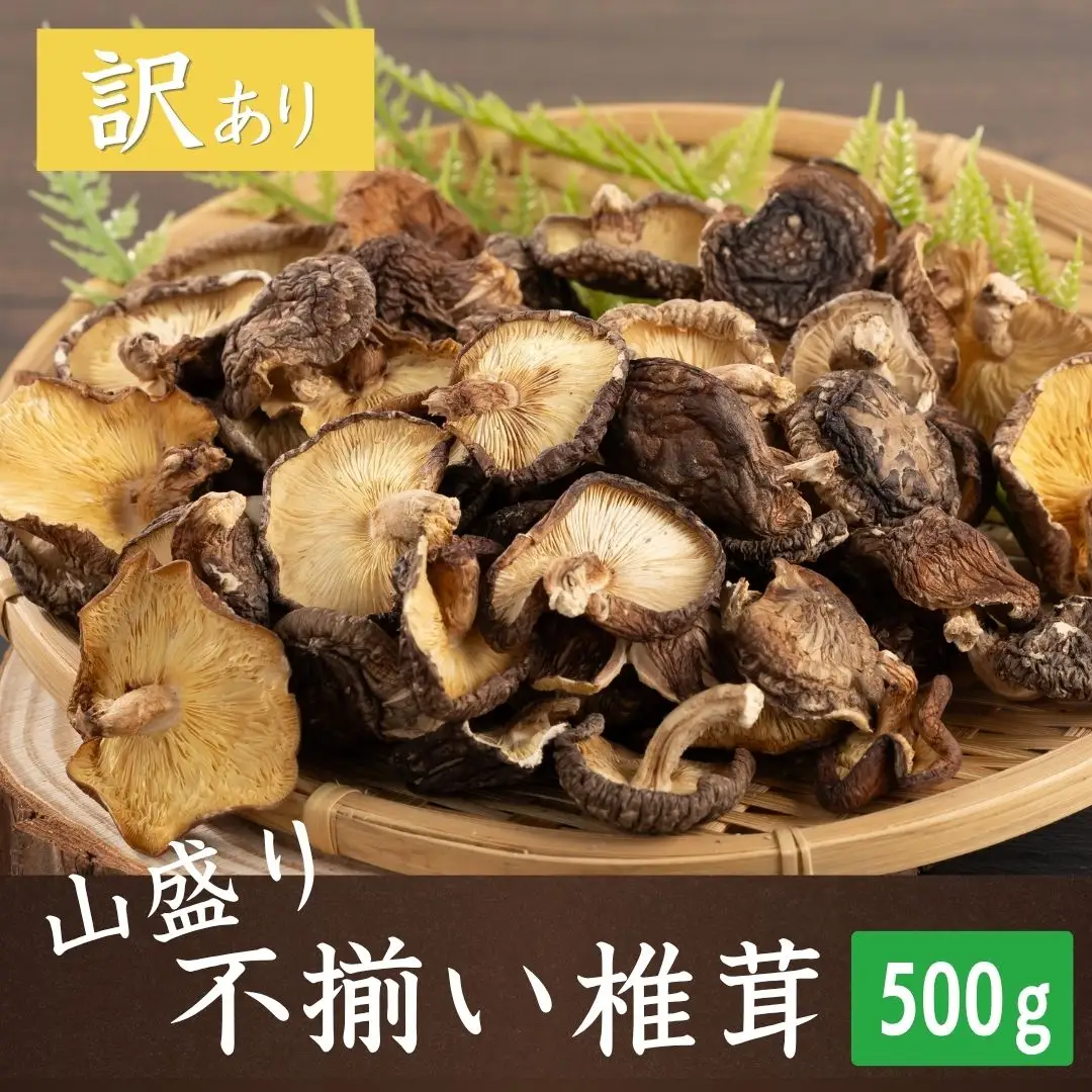 【訳あり椎茸】 山盛り 不揃い椎茸 500g | 津久見市