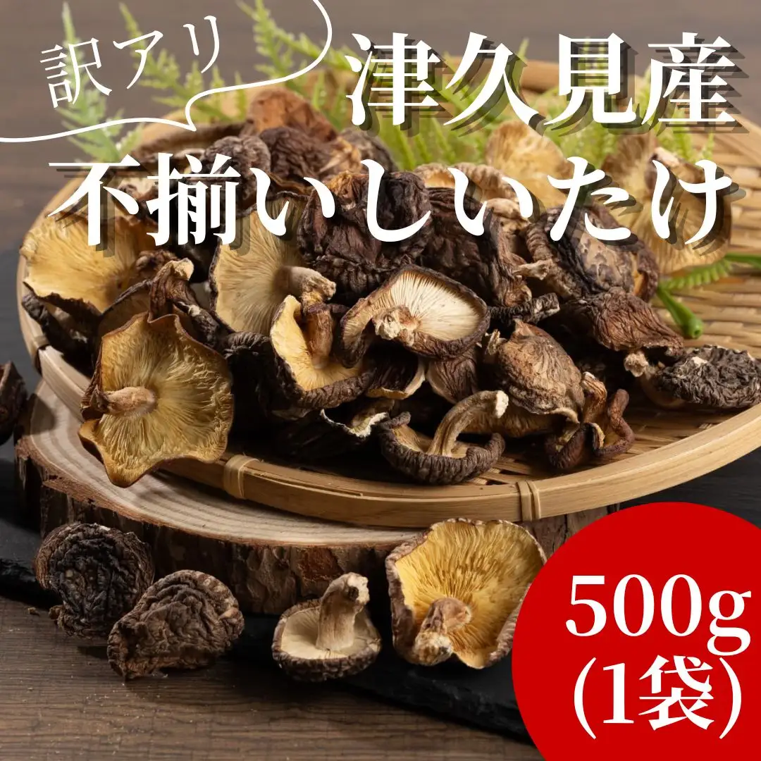 【椎茸/訳あり】 津久見産不揃い椎茸 500g | 津久見市