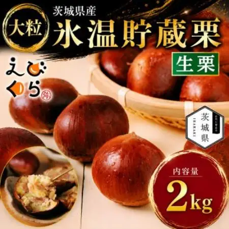 生産者直送 茨城県産 海老澤農園の氷温熟成栗2kg 生栗 大玉 薬剤不使用【配送不可地域：離島・沖縄県】【1745647】