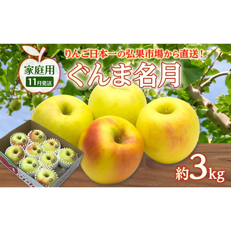 りんご ぐんま名月りんご 青森県産 家庭用ぐんま名月 りんご【約3kg】【11月発送】