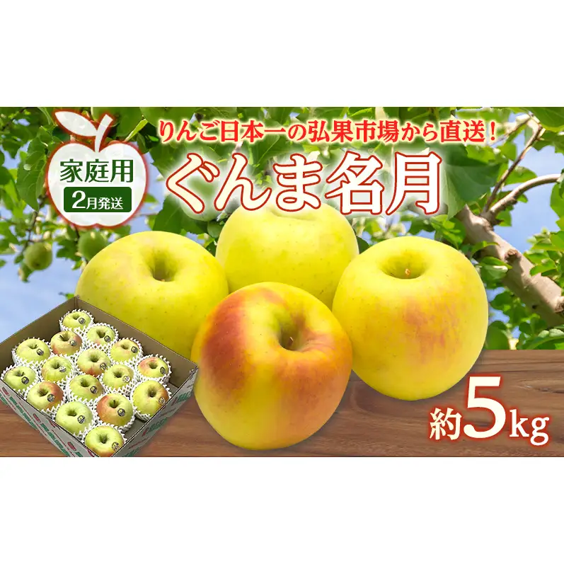 りんご ぐんま名月りんご 青森県産 家庭用ぐんま名月 りんご【約5kg】【2月発送】