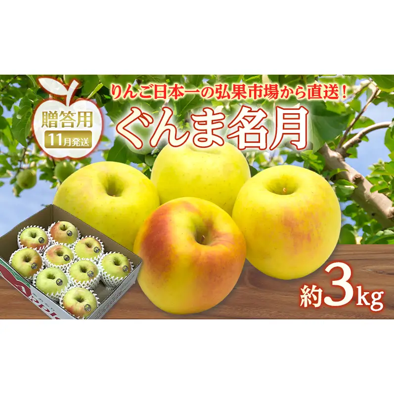 りんご ぐんま名月りんご 青森県産 贈答用ぐんま名月 りんご【約3kg】【11月発送】