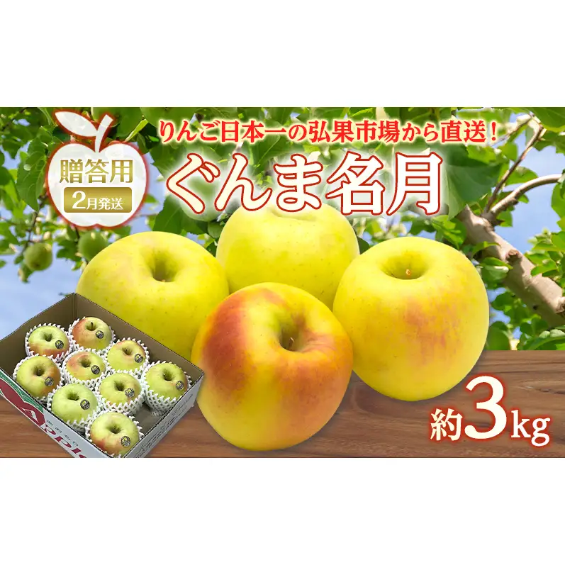 りんご ぐんま名月りんご 青森県産 贈答用ぐんま名月 りんご【約3kg】【2月発送】
