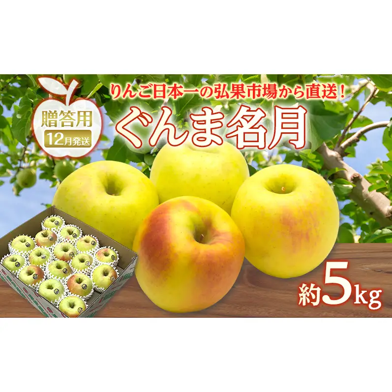 りんご ぐんま名月りんご 青森県産 贈答用ぐんま名月 りんご【約5kg】【12月発送】