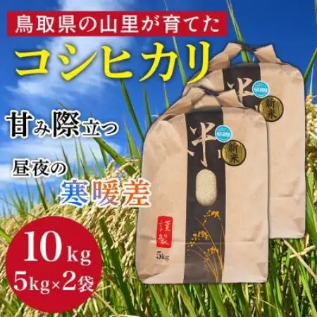 【令和8年産】鳥取県産「コシヒカリ」玄米 10kg(5kg×2)【1746453】