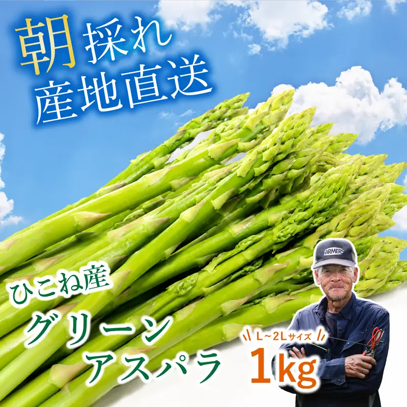 先行予約 グリーンアスパラ 1kg ( L~2L ) 夏芽 アスパラガス アスパラ 夏アスパラ ひこねアスパラ 朝採 新鮮 春野菜 夏野菜 野菜 やさい 滋賀 彦根