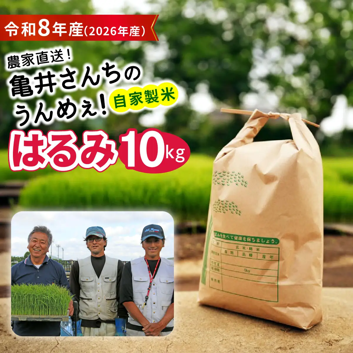 新米 [令和8年産／10月中旬より順次発送] 伊勢原産 精米 10kg (5kg×2袋) はるみ 農家直送！亀井さんちのうんめぇ！自家製米 [1139]