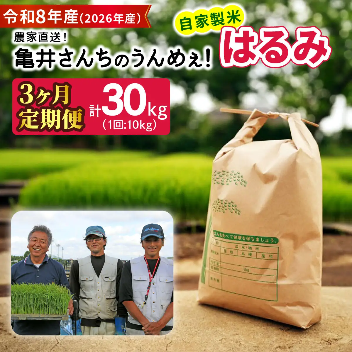 新米 [定期便／3ヶ月連続][令和8年産／10月中旬より順次発送] 伊勢原産 精米 10kg (5kg×2袋) はるみ 農家直送！亀井さんちのうんめぇ！自家製米 [1140]