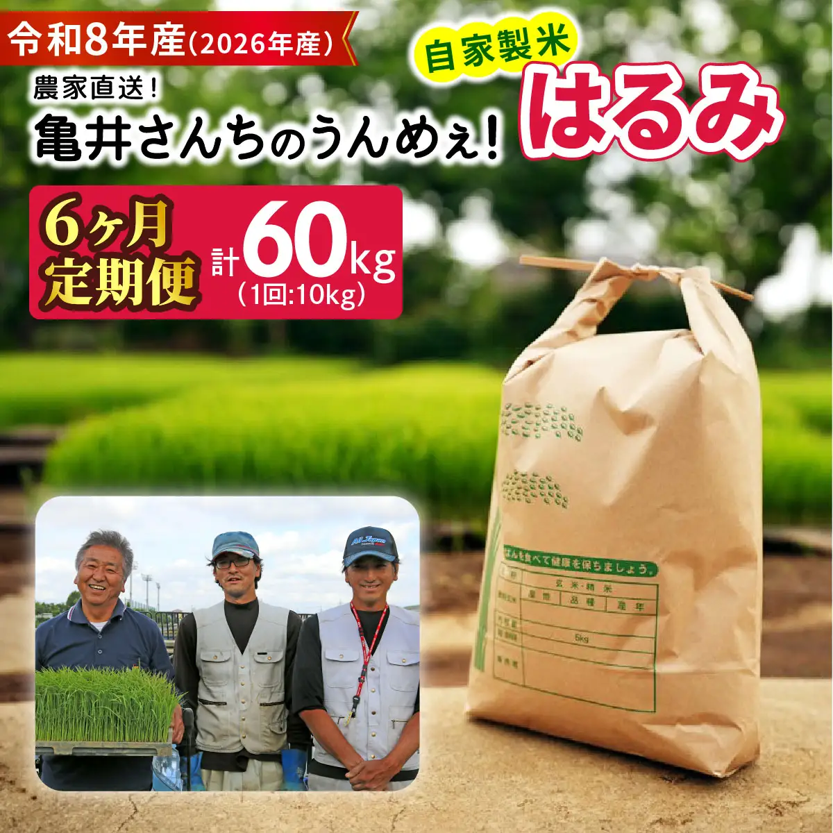 新米 [定期便／6ヶ月連続][令和8年産／10月中旬より順次発送] 伊勢原産 精米 10kg (5kg×2袋) はるみ 農家直送！亀井さんちのうんめぇ！自家製米 [1141]