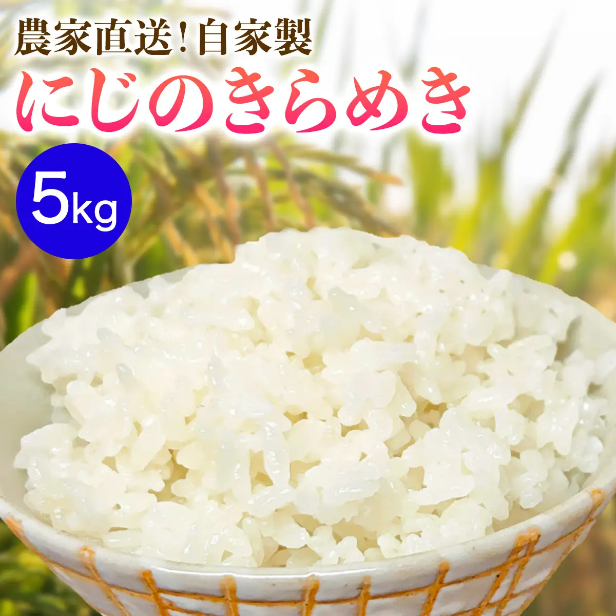 新米 [令和8年産／11月上旬より順次発送] 伊勢原産 精米5kg にじのきらめき 農家直送！加藤さんちのうんめぇ！自家製米 [1143]