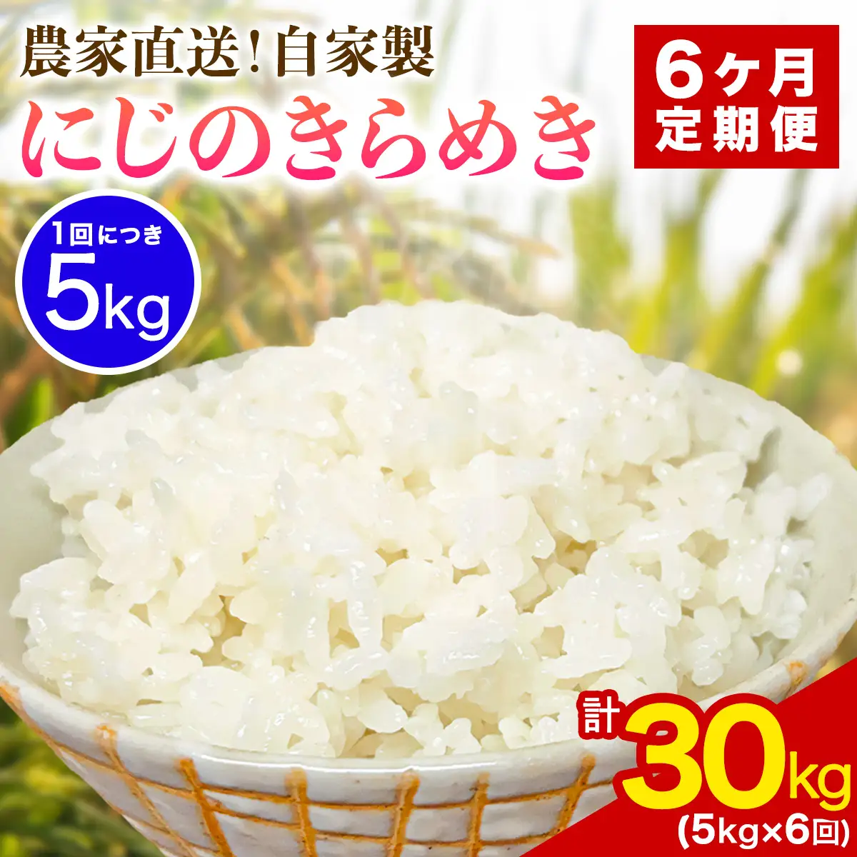 新米 [定期便／6ヶ月連続][令和8年産／11月上旬より順次発送] 伊勢原産 精米5kg にじのきらめき 農家直送！加藤さんちのうんめぇ！自家製米 [1145]
